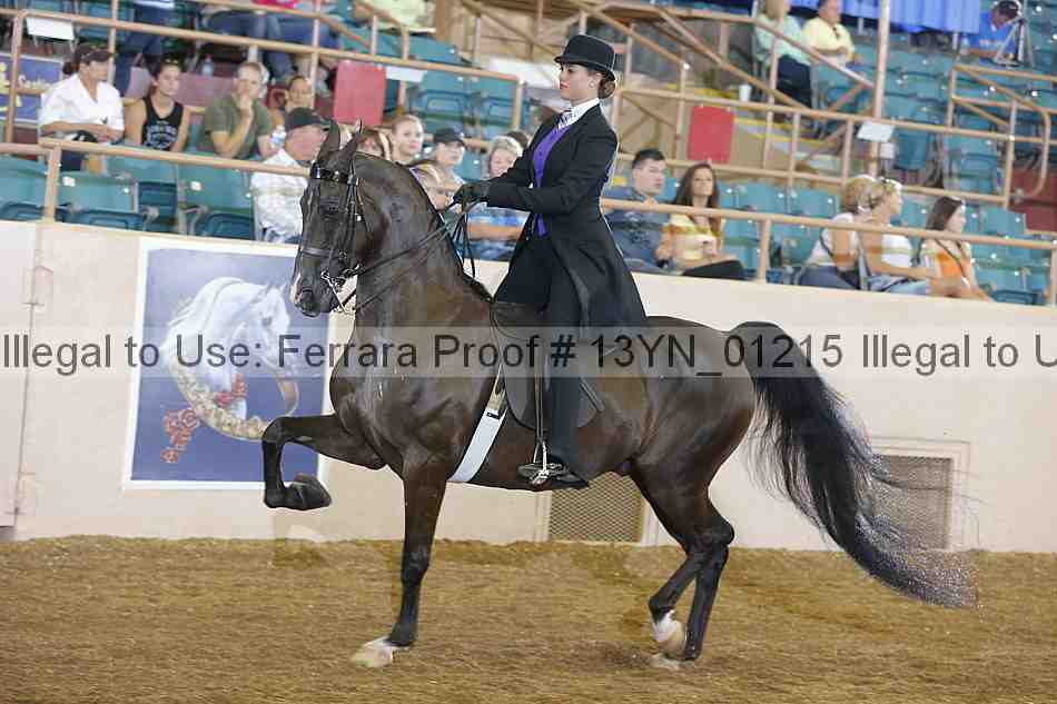 Proof 13yn_01215