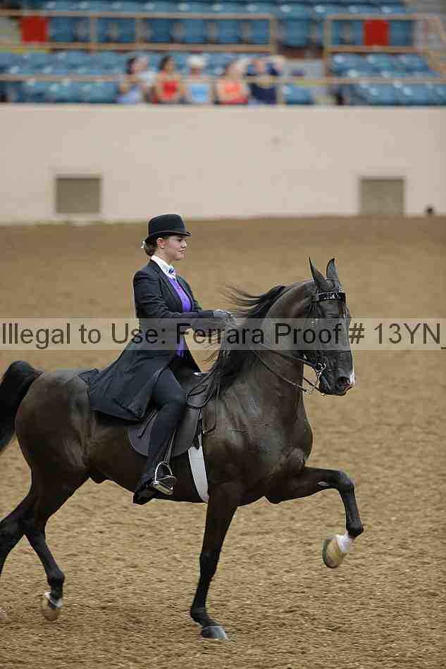 Proof 13yn_01216