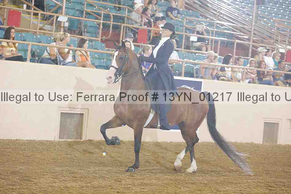 Proof 13yn_01217