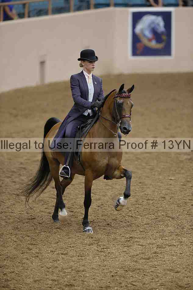Proof 13yn_01219