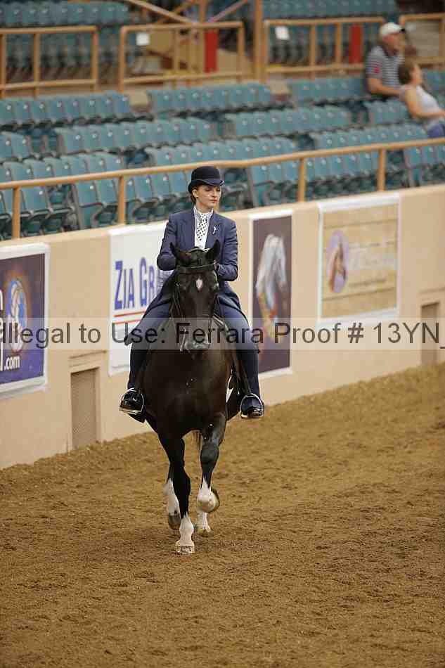 Proof 13yn_01223