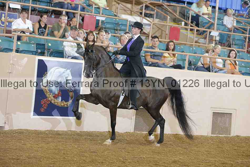 Proof 13yn_01226
