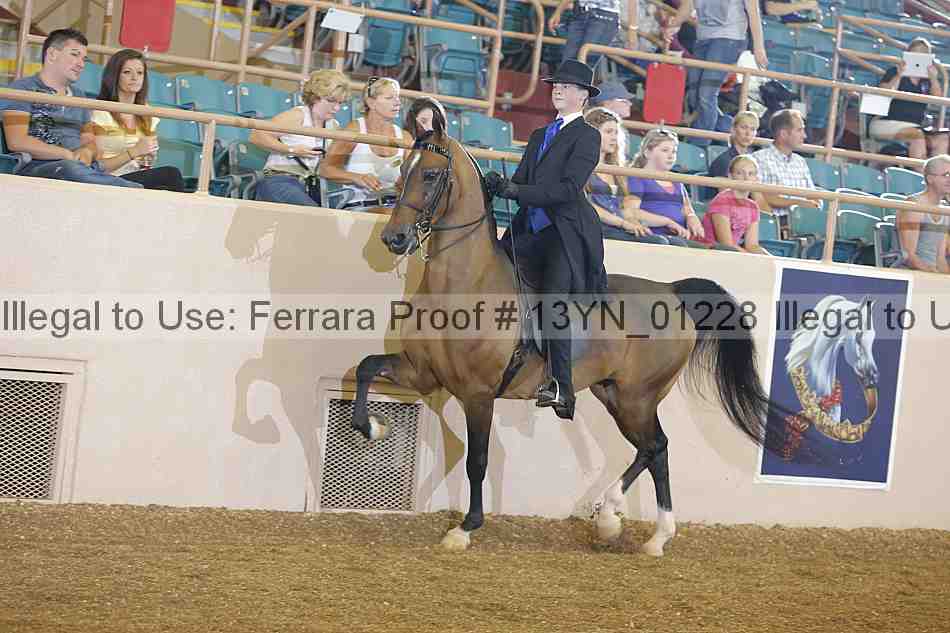 Proof 13yn_01228