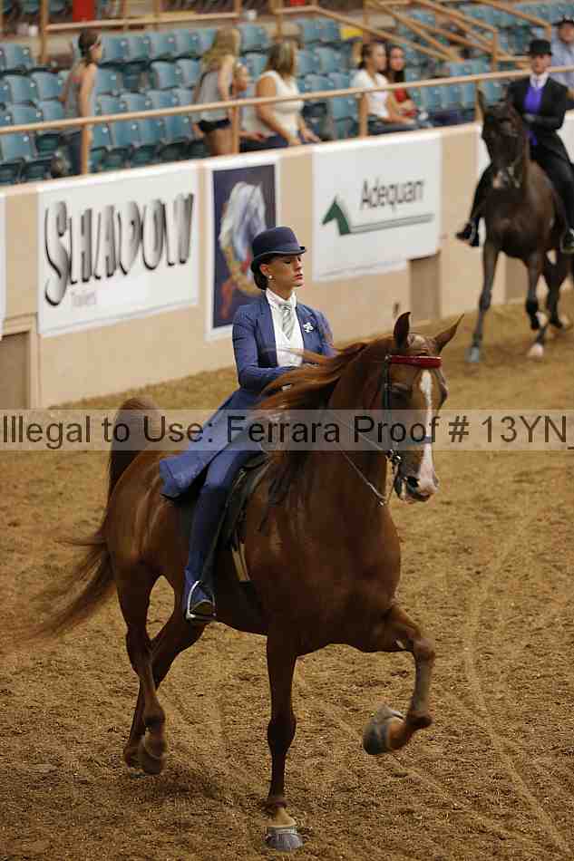 Proof 13yn_01235