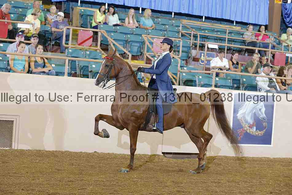 Proof 13yn_01238