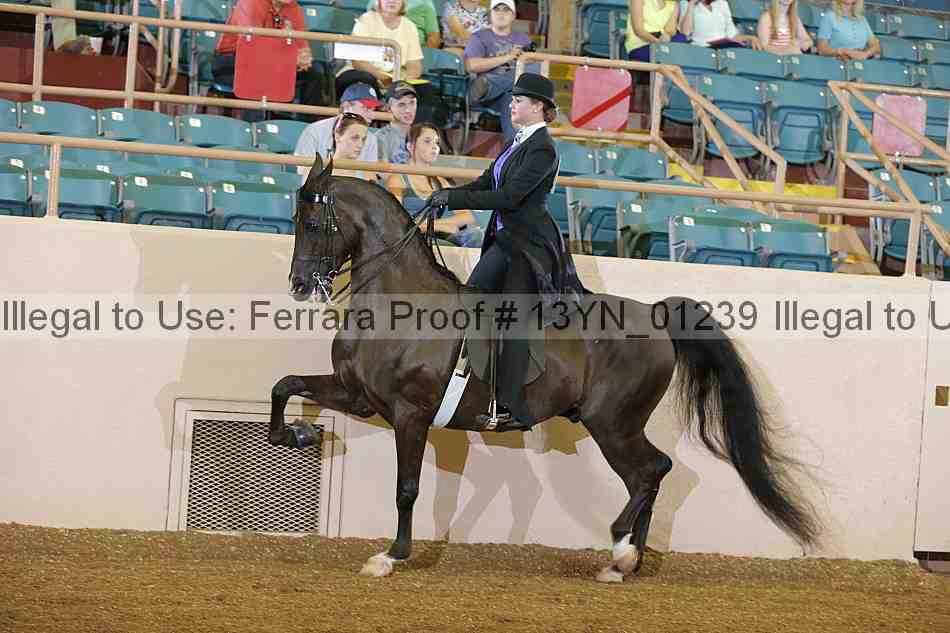 Proof 13yn_01239