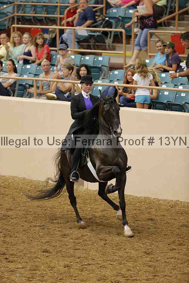 Proof 13yn_01249