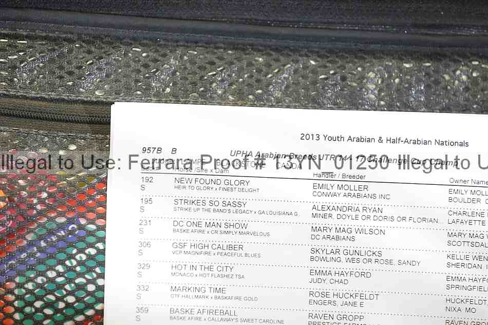 Proof 13yn_01250
