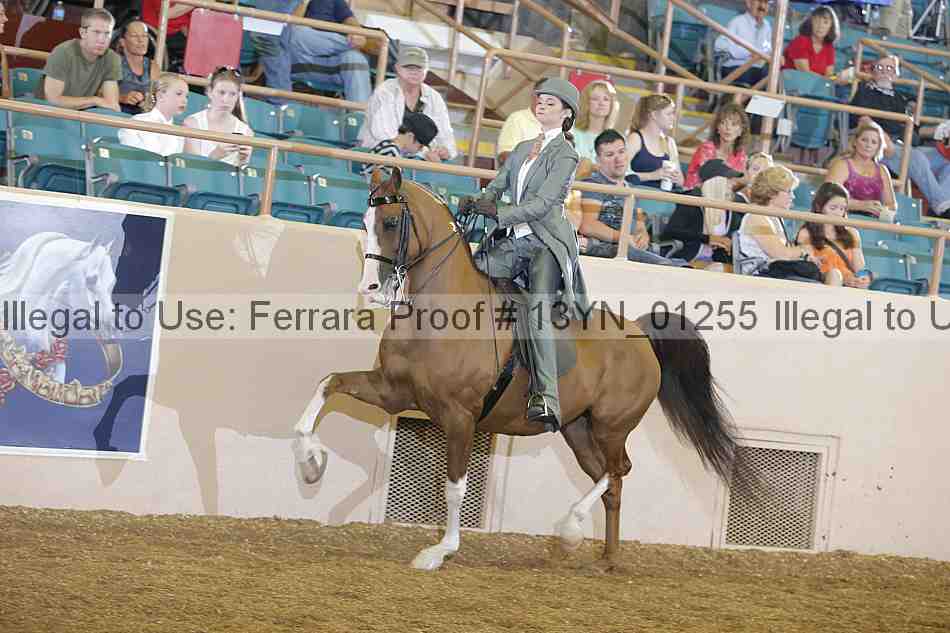 Proof 13yn_01255