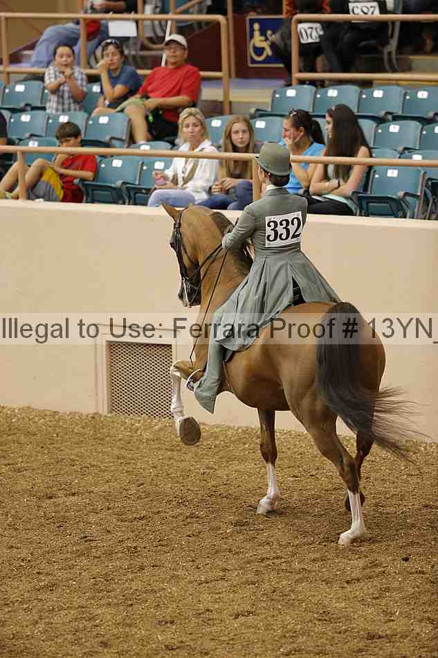 Proof 13yn_01256