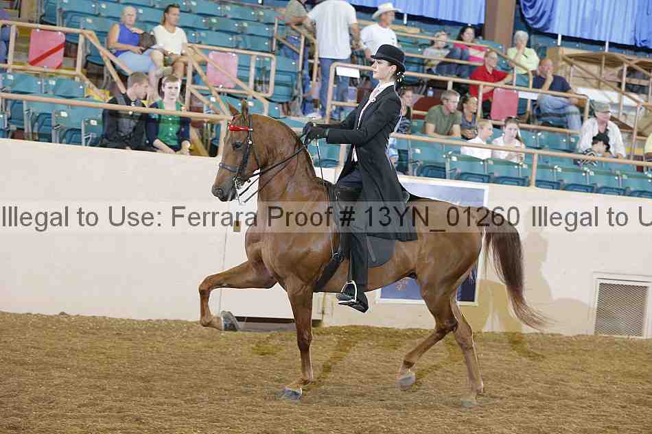 Proof 13yn_01260
