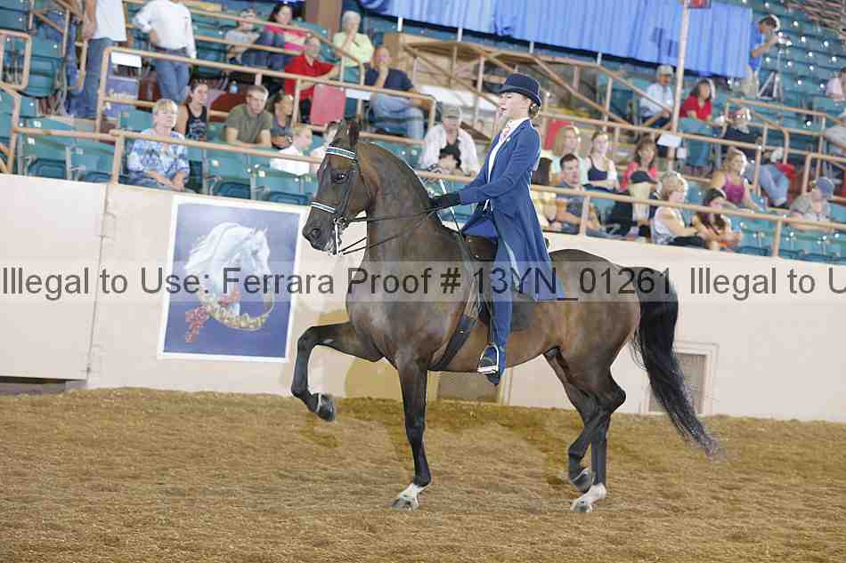 Proof 13yn_01261