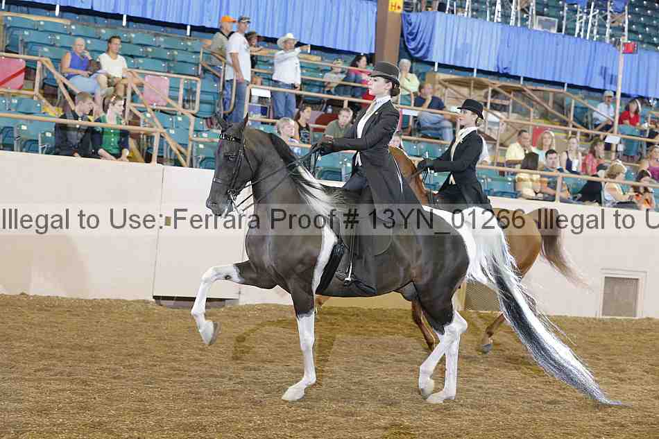Proof 13yn_01266