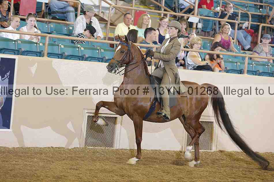 Proof 13yn_01268