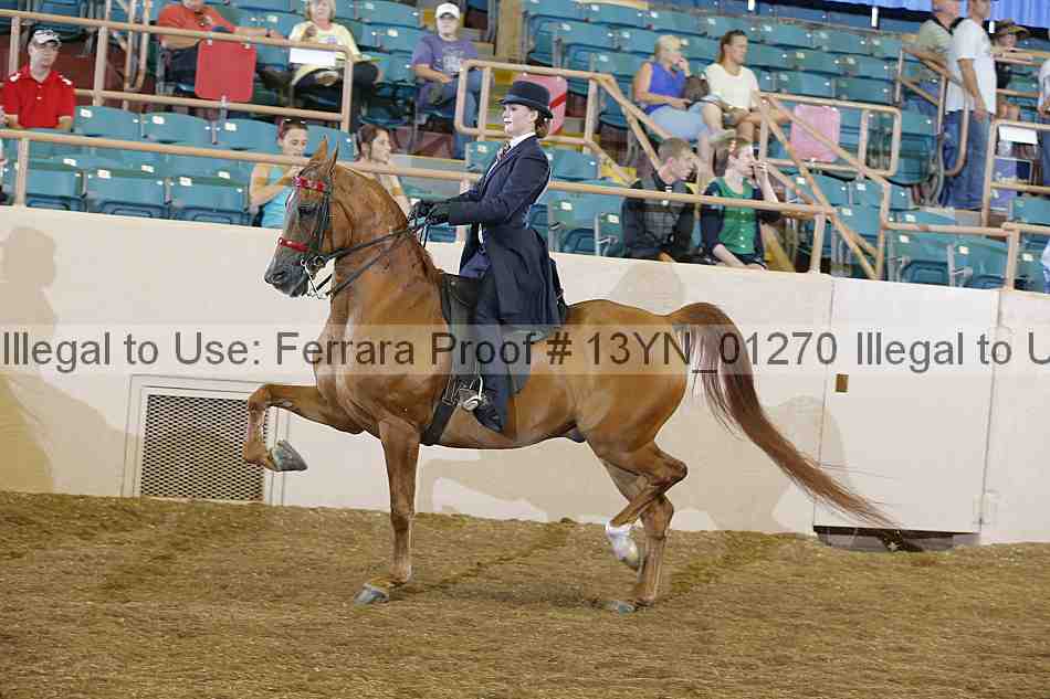 Proof 13yn_01270
