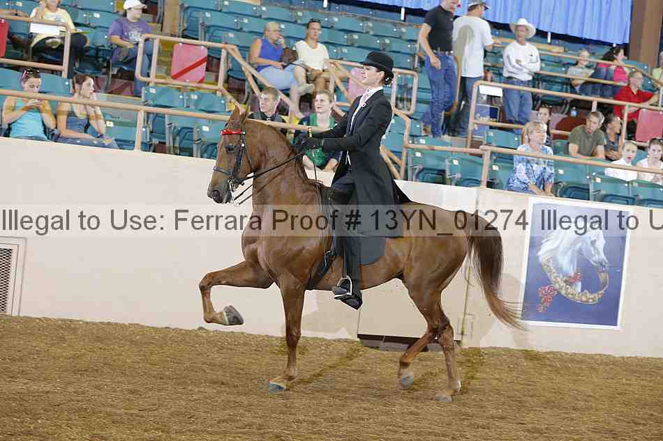 Proof 13yn_01274