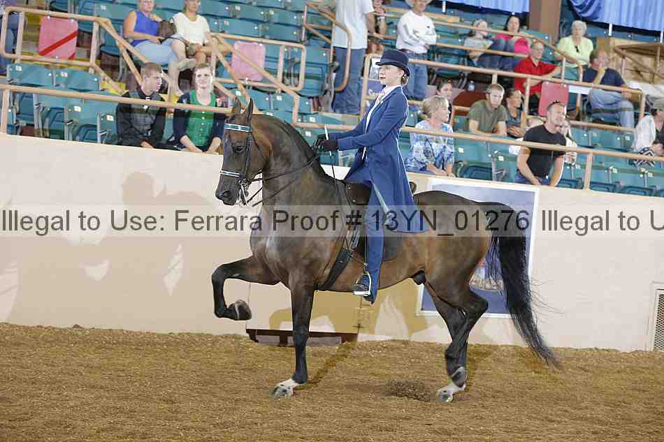 Proof 13yn_01276