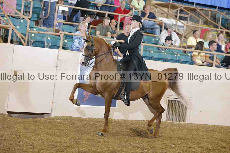 Proof 13yn_01279