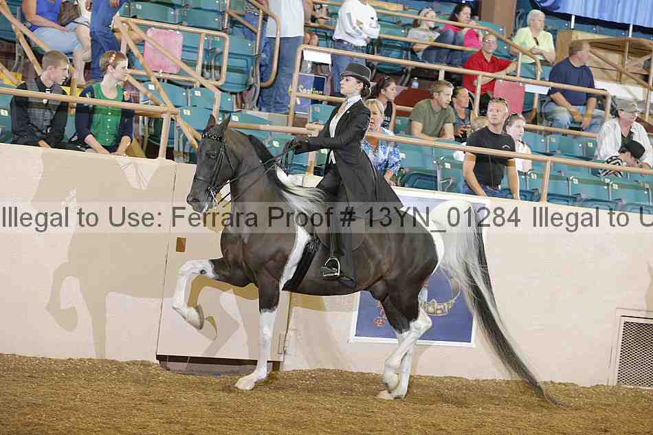 Proof 13yn_01284