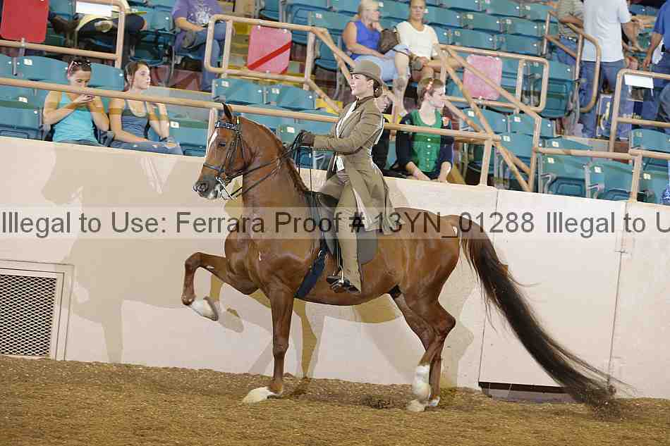 Proof 13yn_01288