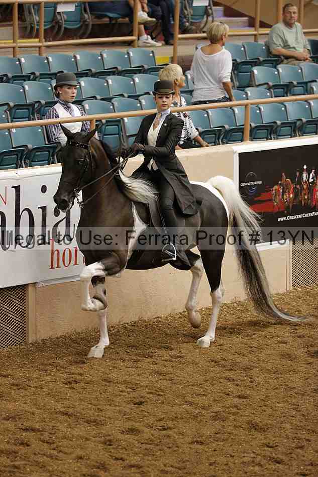 Proof 13yn_01303
