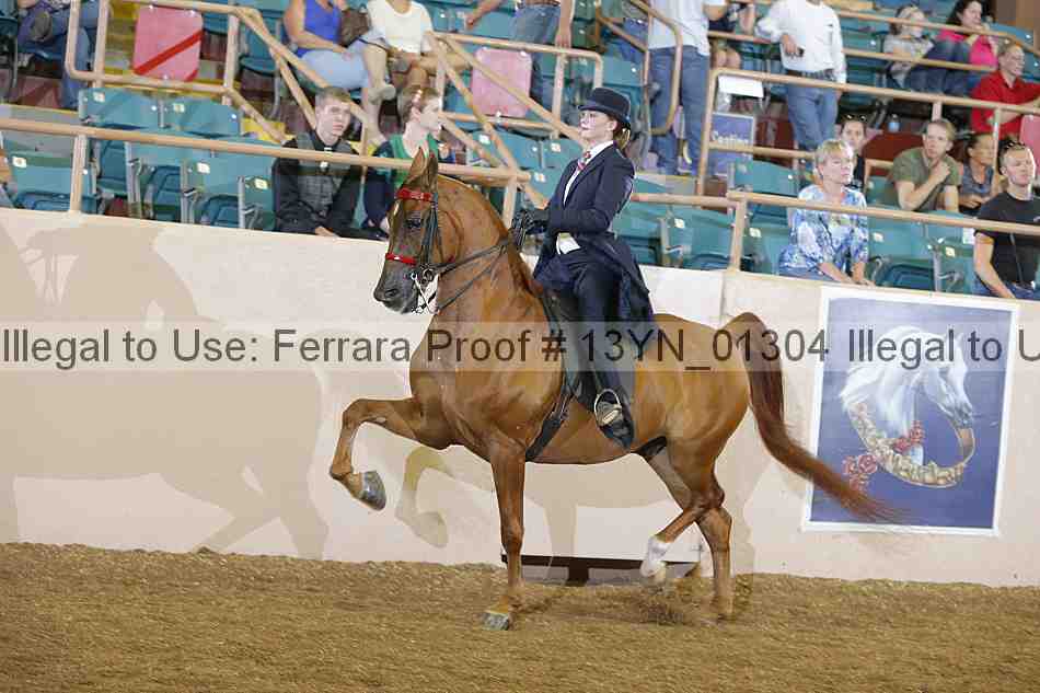 Proof 13yn_01304