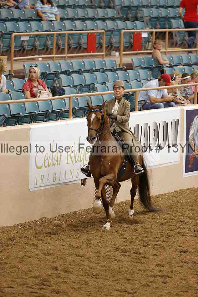 Proof 13yn_01305