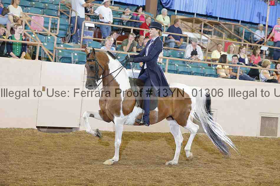 Proof 13yn_01306