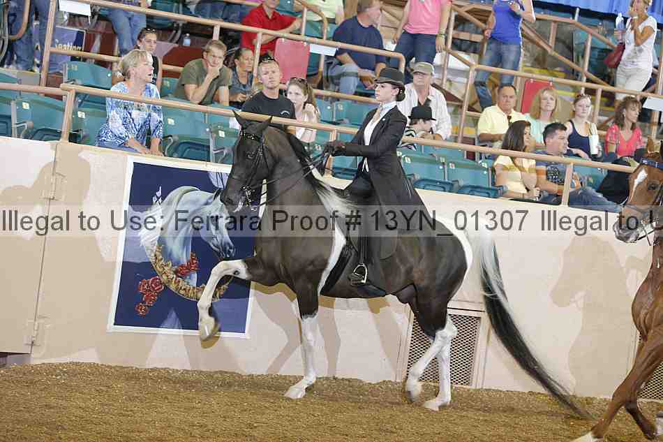Proof 13yn_01307