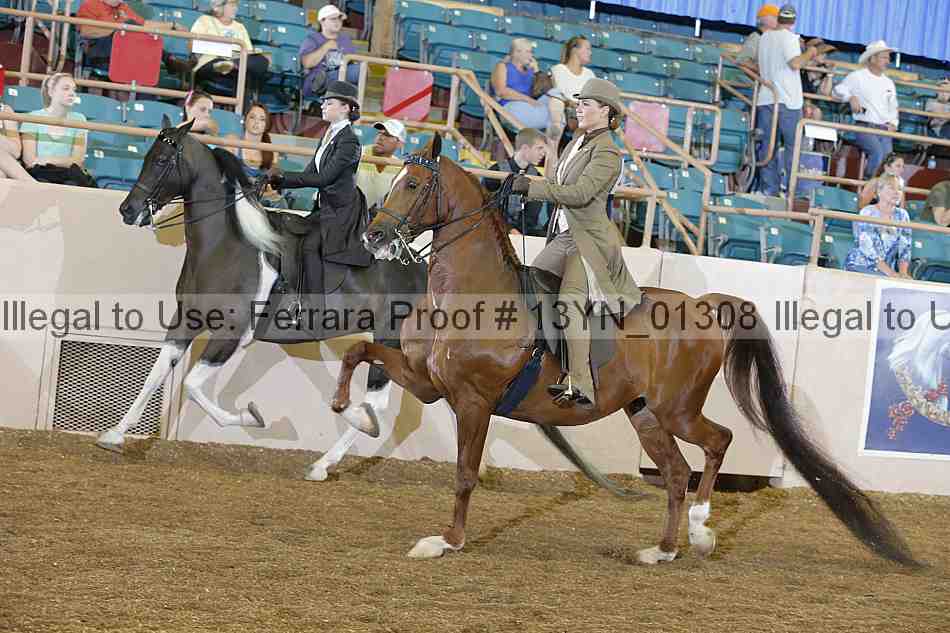 Proof 13yn_01308