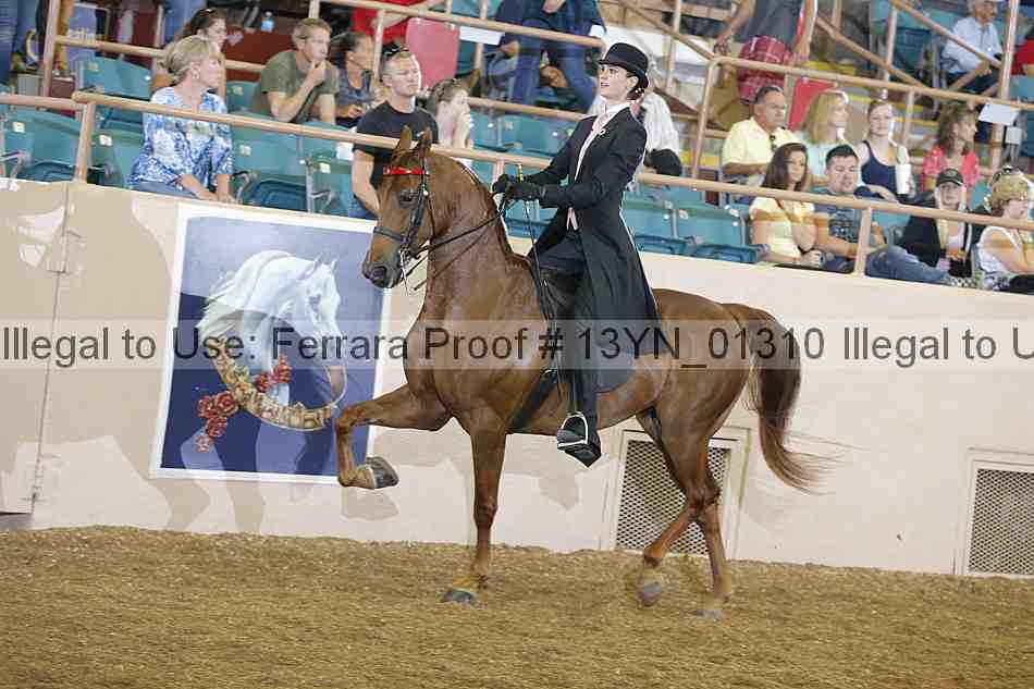 Proof 13yn_01310