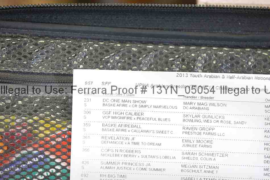 Proof 13yn_05054