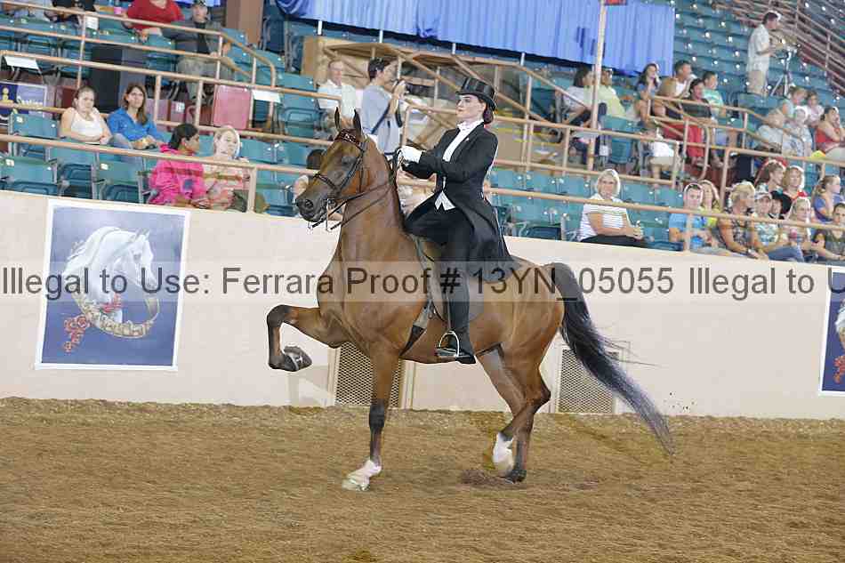 Proof 13yn_05055