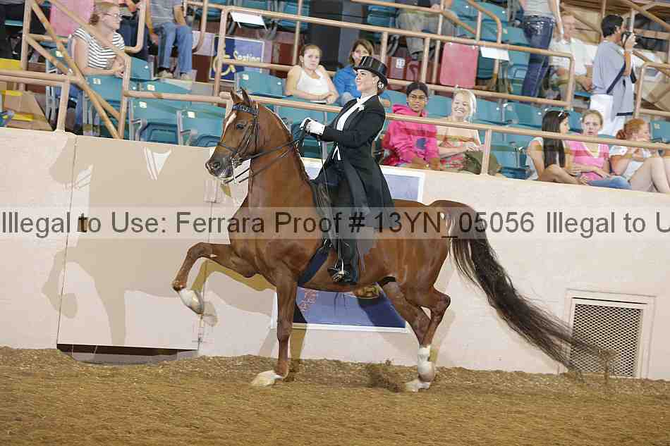 Proof 13yn_05056