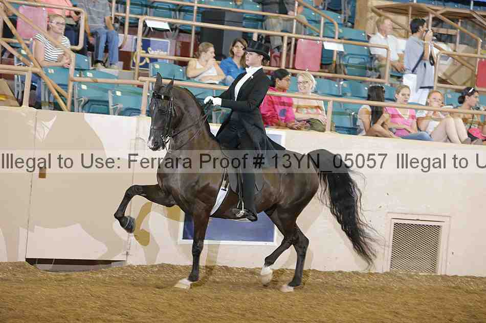 Proof 13yn_05057