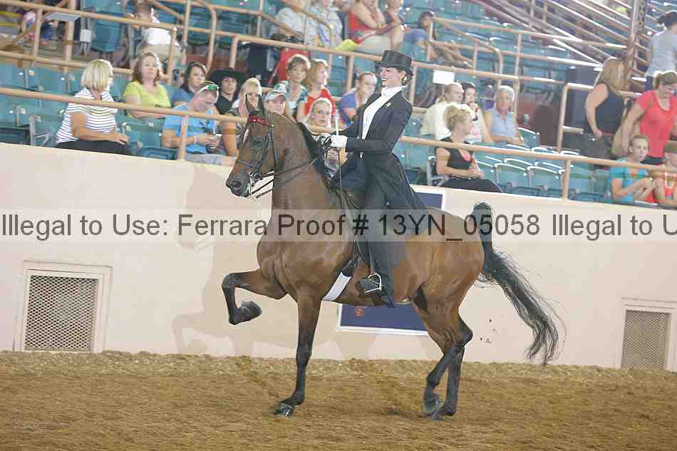 Proof 13yn_05058