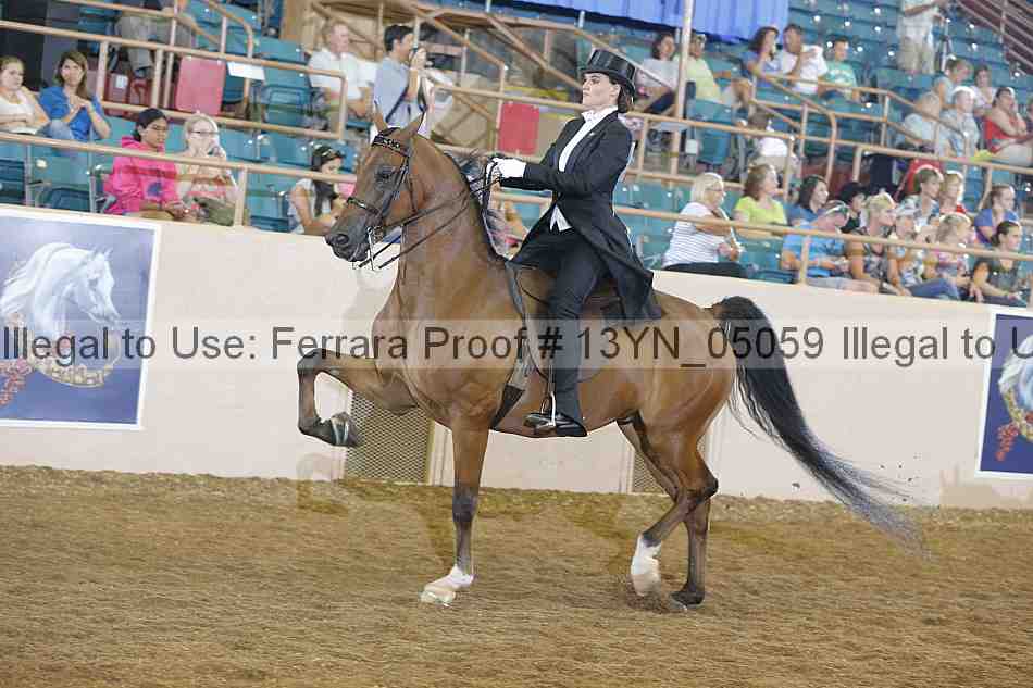 Proof 13yn_05059