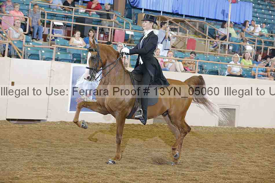 Proof 13yn_05060