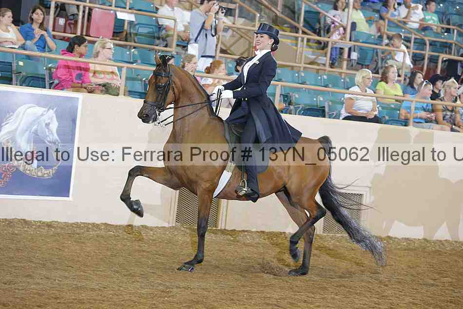 Proof 13yn_05062