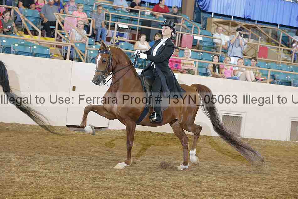 Proof 13yn_05063