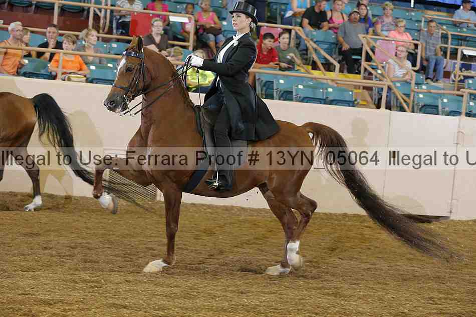 Proof 13yn_05064
