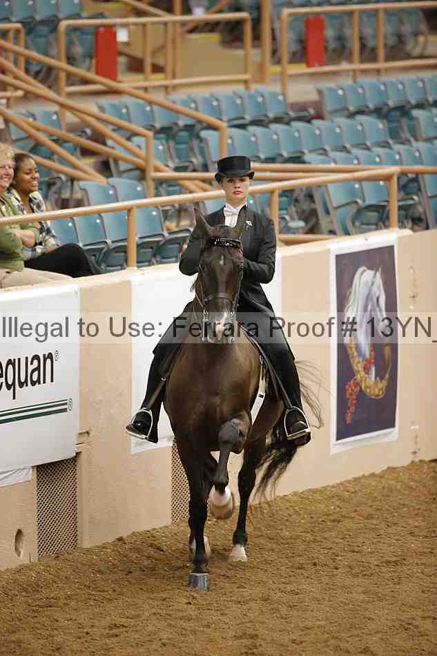 Proof 13yn_05065