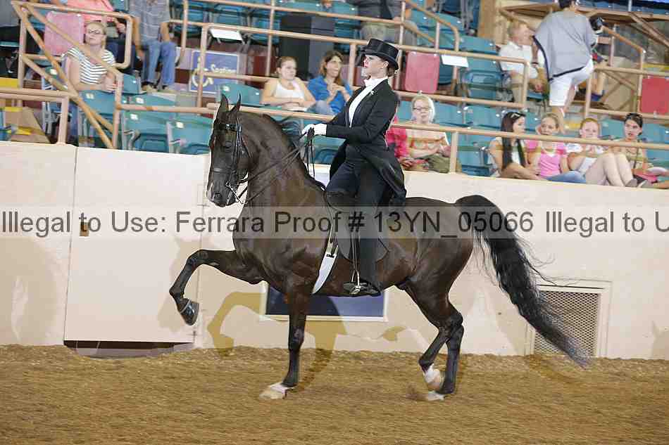 Proof 13yn_05066