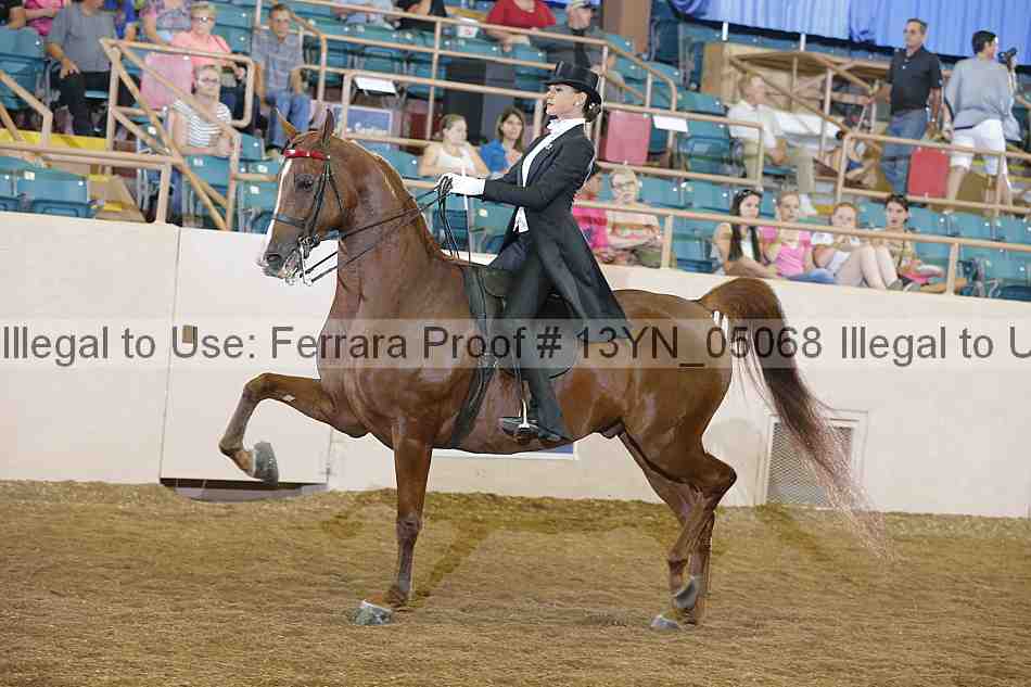 Proof 13yn_05068