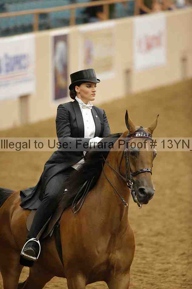 Proof 13yn_05070