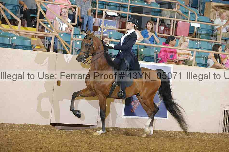 Proof 13yn_05071