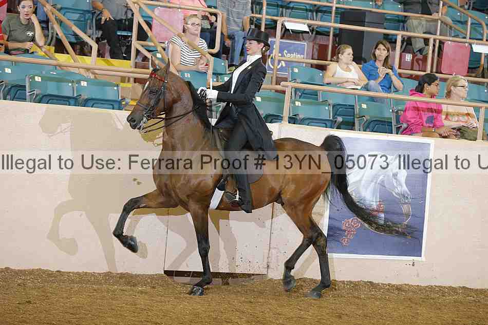 Proof 13yn_05073