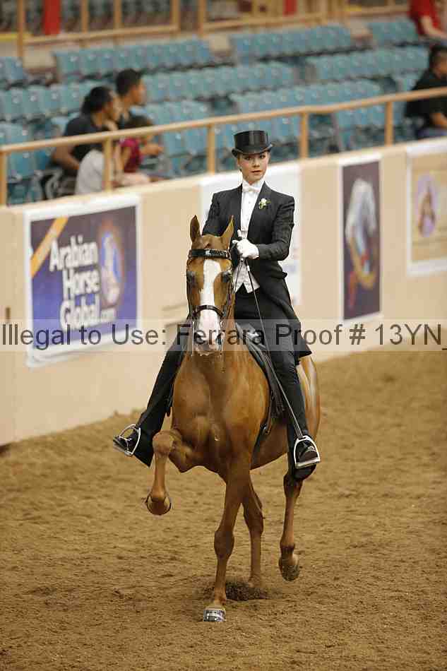 Proof 13yn_05074