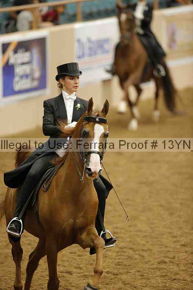 Proof 13yn_05075