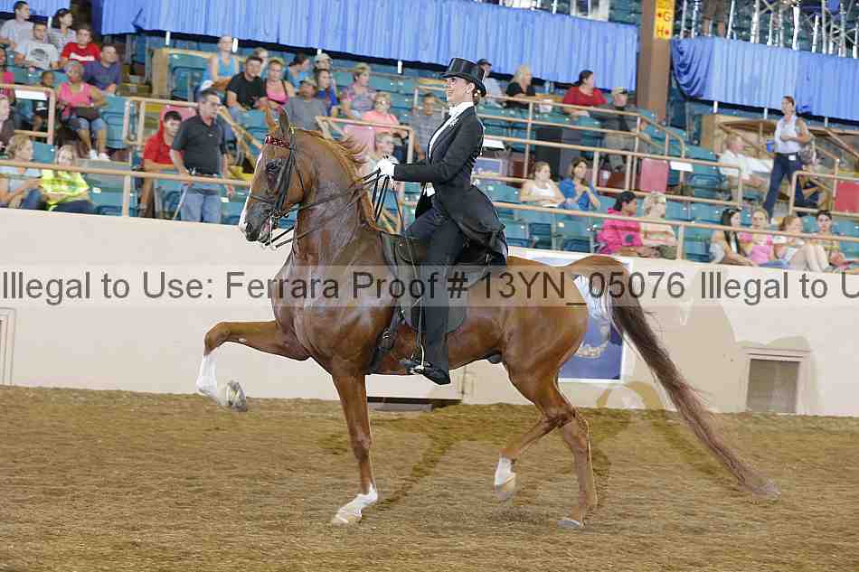 Proof 13yn_05076